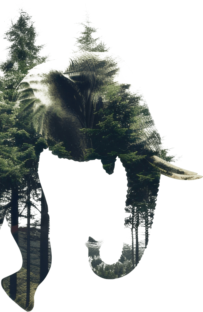 The head of an elephant made of forest, facing the page's words — Kaanagam's emblem for a steward who has become one with what they protect