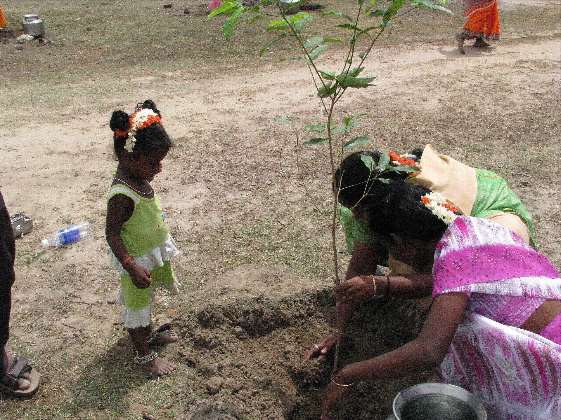 A mother and child planting a sapling